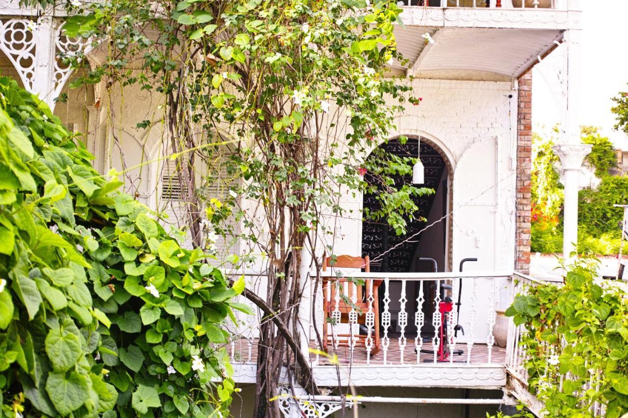 Hotel Florita Jacmel Εξωτερικό φωτογραφία